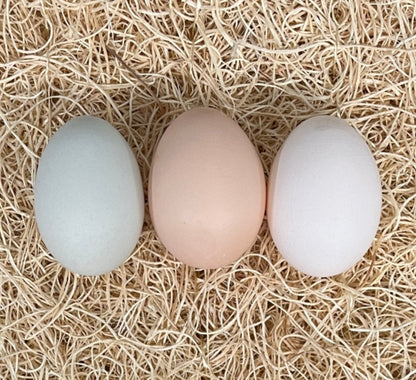 Bantam fertilised eggs